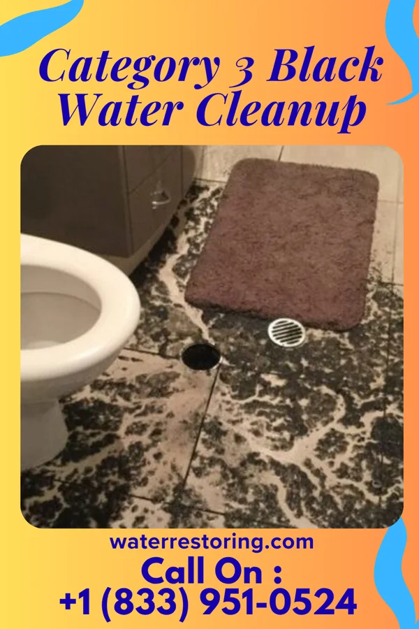 Category 3 Black Water Cleanup in Eastlawn Gardens, PA