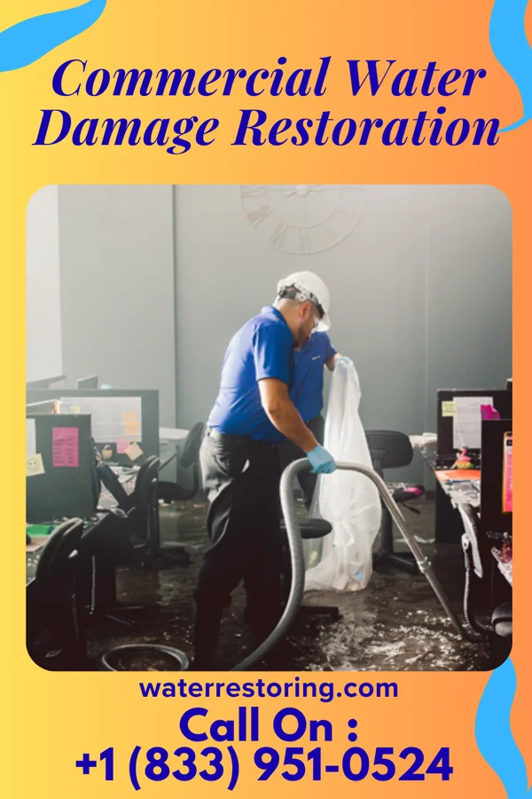Commercial Water Damage Restoration in Eastlawn Gardens, PA