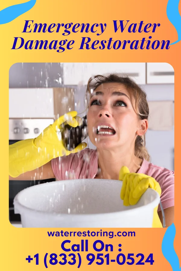 Emergency Water Damage Restoration in Eastlawn Gardens, PA