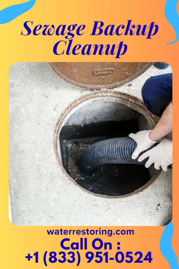 Sewage Backup Cleanup in Eastlawn Gardens, PA