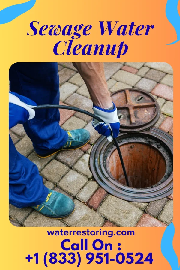 Sewage Water Cleanup in Eastlawn Gardens, PA