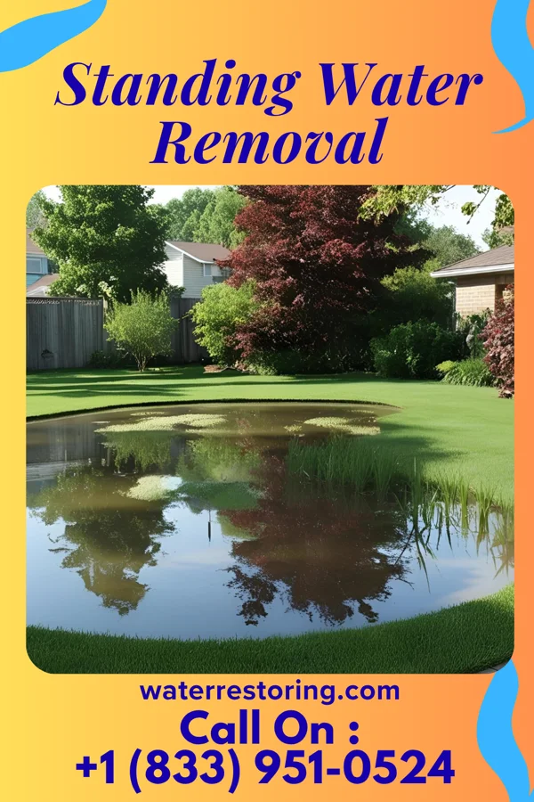 Standing Water Removal in Eastlawn Gardens, PA
